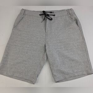 EZEKIEL Men's Layback Drawstring Shorts Primus Striped Gray Size 33 N-1849